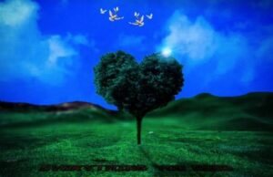 Mellow Don Picasso ft Mo$hpit Cindy – Everything You Need