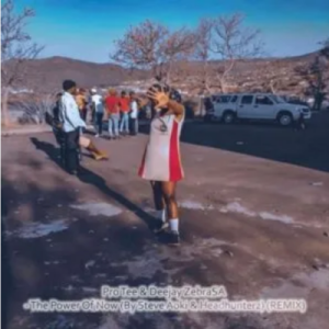 Pro-Tee & Deejay Zebra SA – The Power Of Now (Remix)