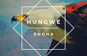 Shona (sa) Ft. Zimkitha – Ndiyekele (original Mix)