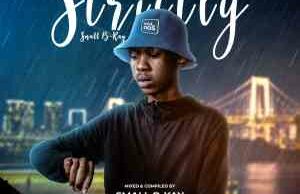 Small B-Kay – Strictly Small B-Kay Vol.005