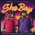 Venom & Shishiliza ft Riky Rick, Junior Taurus, Buzzi Lee, Yanga Chief, Beast RSA, Focalistic, Blxckie & 25K – Sho Boy