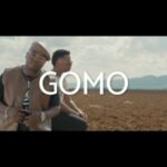 Mr Brown & Mvzzle ft Makhadzi – Gomo