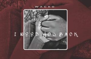 Wacko – I Need You Back (I.N.Y.B)