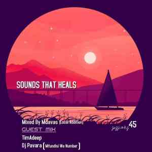 Dj Pavara (Mfundisi we Number) – Sounds That Heals Session (Guest Mix) Mp3 Download