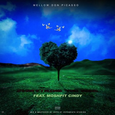 Mellow Don Picasso ft Mo$hpit Cindy – Everything You Need Mp3 Download