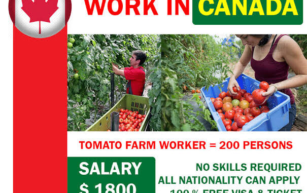 Nasty C & Dj Whoo Kid – Poetry Ft. T.i. Mp3 Download