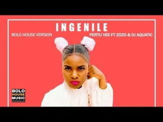 Pertu Vee – Ingenile Ft. Zozo & DJ Aquatic Mp3 Download