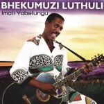 Bhekumuzi Luthuli – Imali Yabelungu