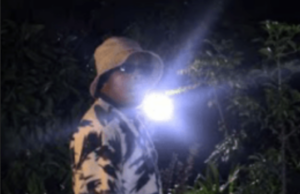 Holy Ten – Zviri Pa 2