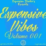 Mthetho The-Law – Expensive Vibes Vol. 001