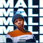 Prince Killa – Mali ft. Shot killer & Mfana Omcane
