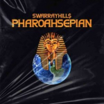 SwarrayHills – Sexual Healing (Revisit)