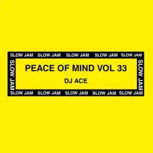 DJ Ace – Peace of Mind Vol 33 (Classic House B2B Mix) Mp3 Download