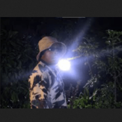 Holy Ten – Zviri Pa 2 Mp3 Download