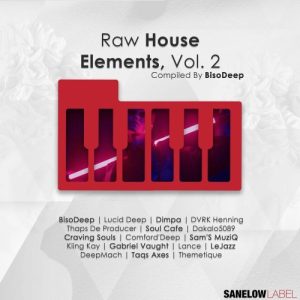 Various Artists – Raw House Elements, Vol. 2 (Compiled by BisoDeep) Mp3 Download