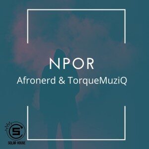 AfroNerd – Npor Ft. TorQue MuziQ