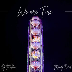 DJ Malibu & Mandy Bird – We Are Fire (Vocal Mix)