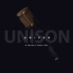 DJ Malibu & Tribal Soul – Unison
