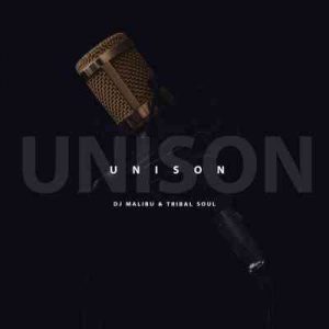 DJ Malibu & Tribal Soul – Unison