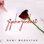 Dumi Mkokstad – Ziphozenkosi