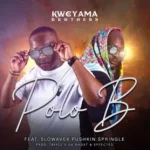 Kweyama Brothers – Polo B ft. Slowavex Pushkin Springle