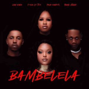 LYRICS: Felo Le Tee & DBN Gogo – Bambelela Lyrics ft. Young Stunna & Pabi Cooper