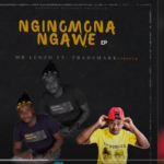 Mr Lenzo – Nginomona Ngawe Ft. TradeMark
