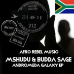 Mshudu & Budda Sage – Venom (Original Mix)
