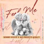 Scooby Steeze, Tex P Beats & J & S Projects – Feel Me ft. Chlèy