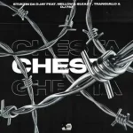 S’tukzin Da DJay – Chesta ft Mellow, Sleazy, Tranquillo & Dj 787