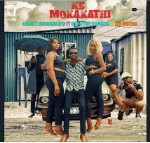 Charle Dikwasa 012 – Ke Mokakathi (Official Audio) Ft DJ Active Khoisan & Ltd Muziqa Mp3 Download