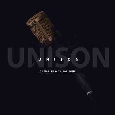 DJ Malibu & Tribal Soul – Unison Mp3 Download