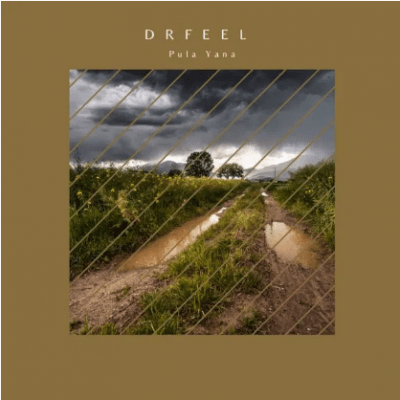 Dr Feel – Pula Yana (Original Mix) Mp3 Download