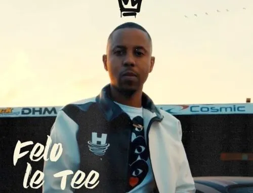 Felo Le Tee Myztro – Pitori 012 Leak Mp3 Download