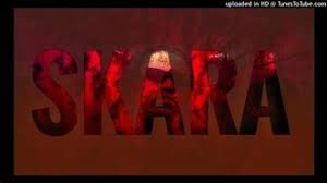 Focalistic, Mdu Aka TRP, Vigro Deep & Lady Du Type Beat – SKARA Mp3 Download