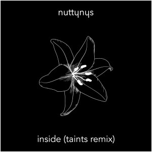 Nutty Nys – Inside (Taints Remix) Mp3 Download