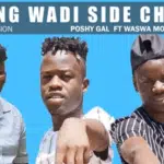 Poshy Gal – Meeting Wadi Side Chick Ft. Waswa Moloi Music Mp3 Download