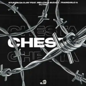 S’tukzin Da DJay – Chesta ft Mellow, Sleazy, Tranquillo & Dj 787 Mp3 Download