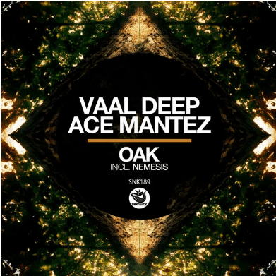 Vaal Deep & Ace Mantez – Oak (Original Mix) Mp3 Download