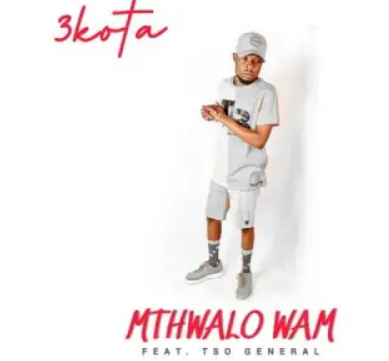 3Kota – Mthwalo Wami ft. TSO General Mp3 Download