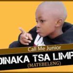 Call Me Junior – Dinaka tsa Limpopo (Matebeleng)