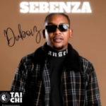 Du Boiz – Sebenza