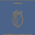 Nutty Nys – Wonderful (Nini Maluks Remix)