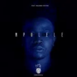 Sibu Nzuza – Mpulele ft. Malome Vector