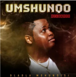 Dladla Mshunqisi – Woza Uzizwele ft. DarkSilver