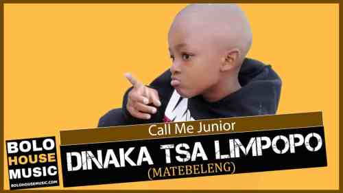 Call Me Junior – Dinaka tsa Limpopo (Matebeleng) Mp3 Download