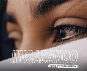 Didablk – Imicabango ft. L.DeeKay Mp3 Download