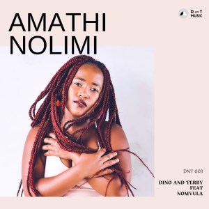 Dino & Terry, Nomvula SA – Amathi Nolimi Mp3 Download
