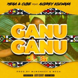 Mega – Ganu Ganu Mp3 Download