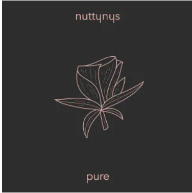 Nutty Nys – Pure Mp3 Download
